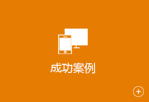 成功案例